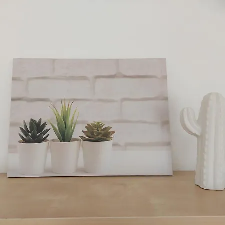 Apartamento Dunas De
